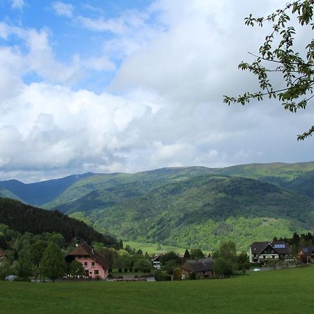 Les 4 Saisons Hotel Kruth Luaran gambar