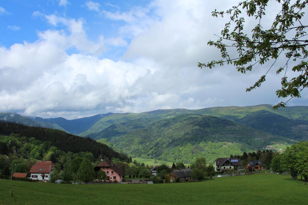 Les 4 Saisons Hotel Kruth Luaran gambar